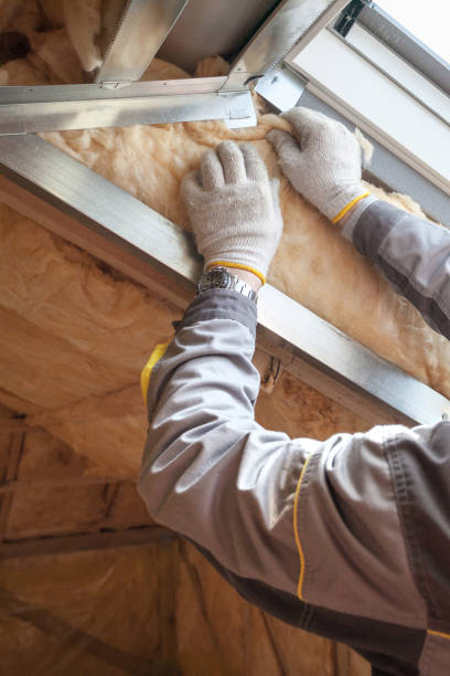 Best Insulation Maintenance and Repair in Bismarck, MO